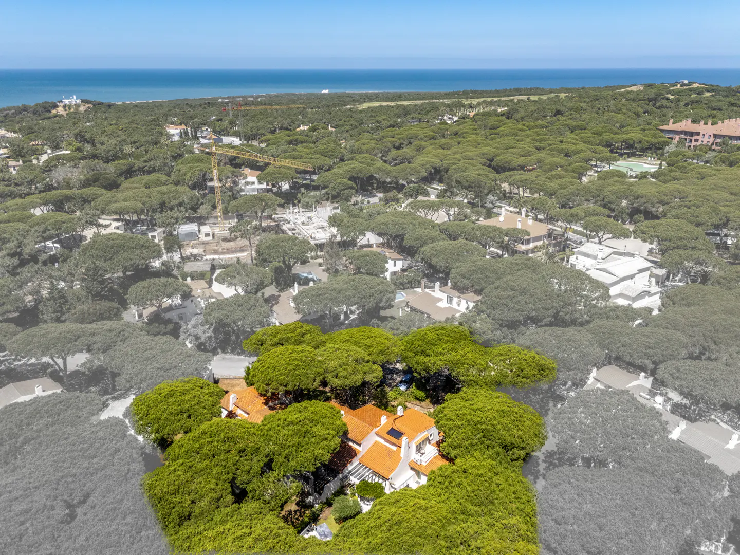 Aerial view of a white villa with an orange roof nestled in a dense pine forest near the blue ocean.