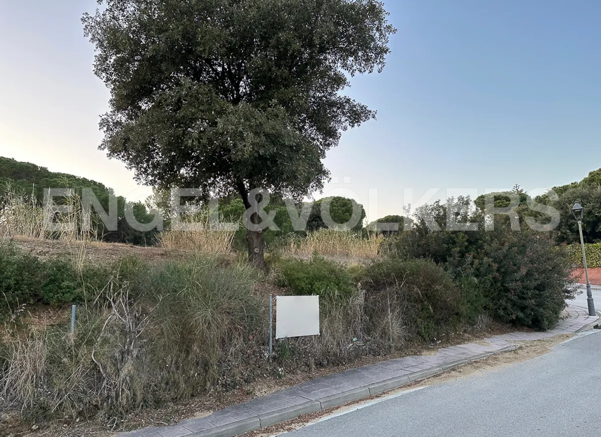Large exclusive plot in Rocaferrera