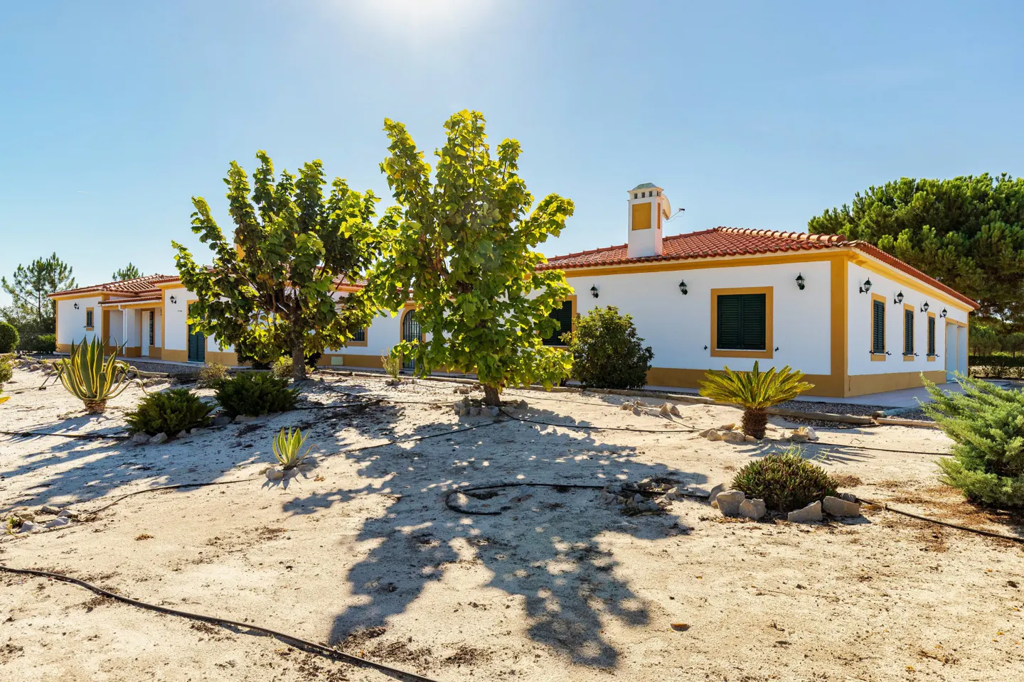 Exterior of a white, single-story home with a red tile roof and yellow trim, surrounded by trees and desert landscaping.