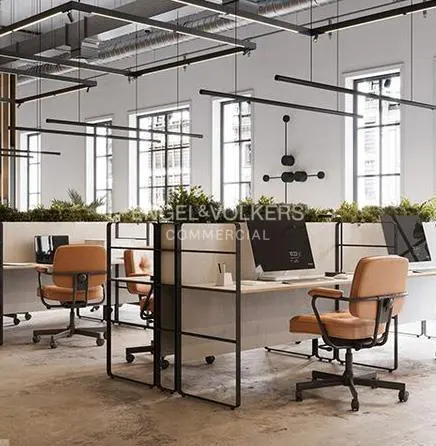 A modern office space with desks, tan chairs, computers, and greenery above the dividers. Large windows provide natural light.