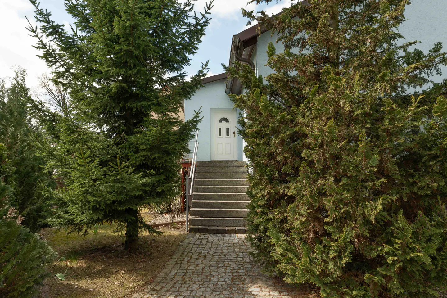 A stone path leads to concrete steps and a white front door of a light blue house, framed by two large evergreen trees.