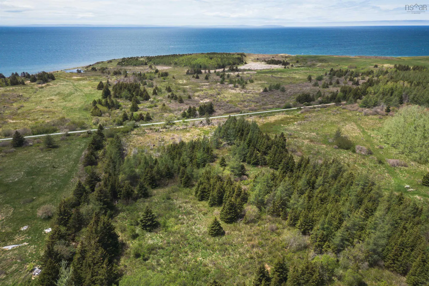 Aerial view of green land with trees and a road, leading to the blue ocean in the background.