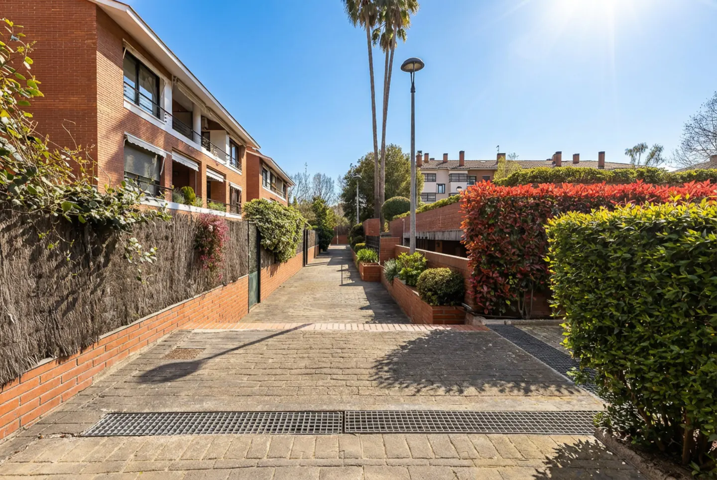 Brick-paved driveway leading to apartments. Lush greenery and hedges line the path under a sunny, blue sky.