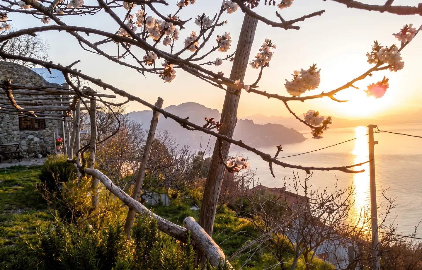 Scenic view of the Amalfi Coast at sunset, framed by flowering branches. Mountains and the sea are visible in the background.