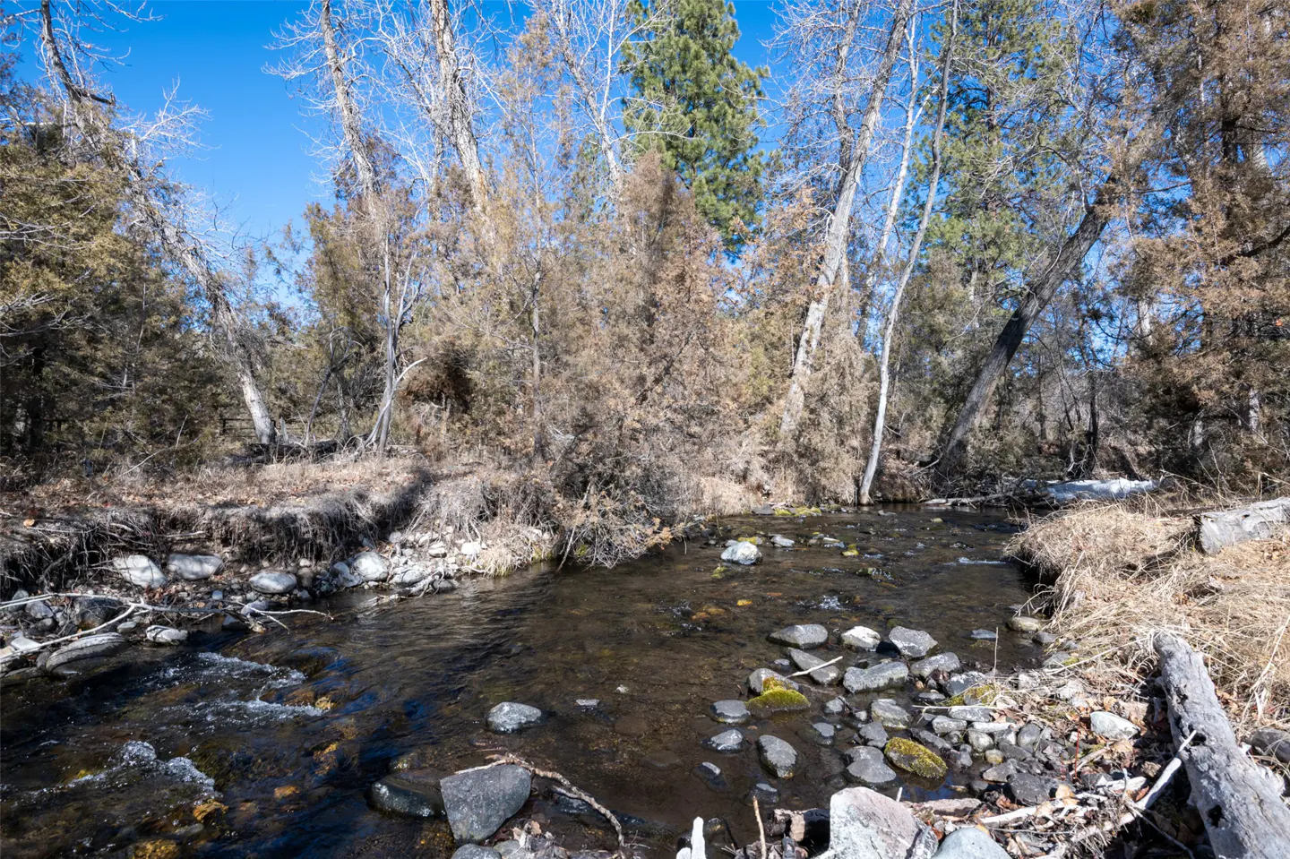 A clear stream flows through a wooded area with bare trees and rocks under a blue sky.