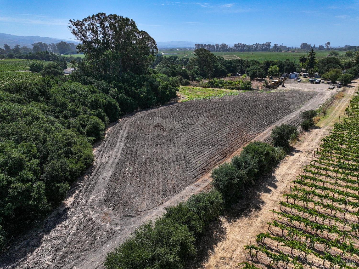 Nestled in Vineyards