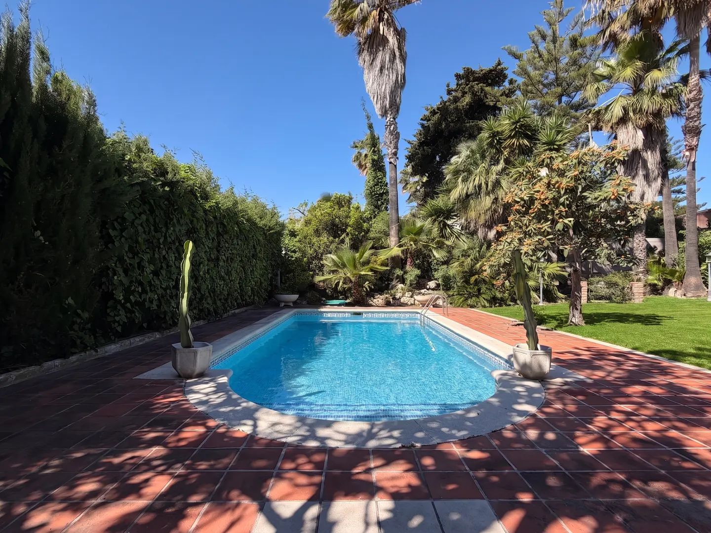 Outdoor pool with blue water, surrounded by red brick, green trees, and palm trees under a clear blue sky.