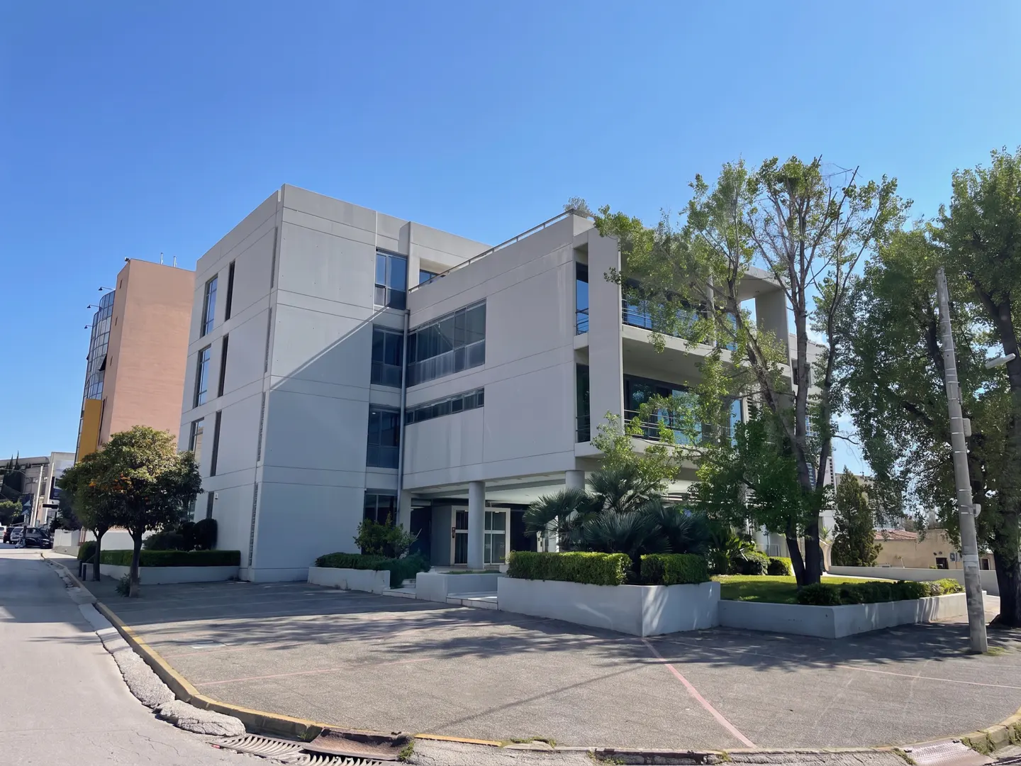 [AI-generated photo]