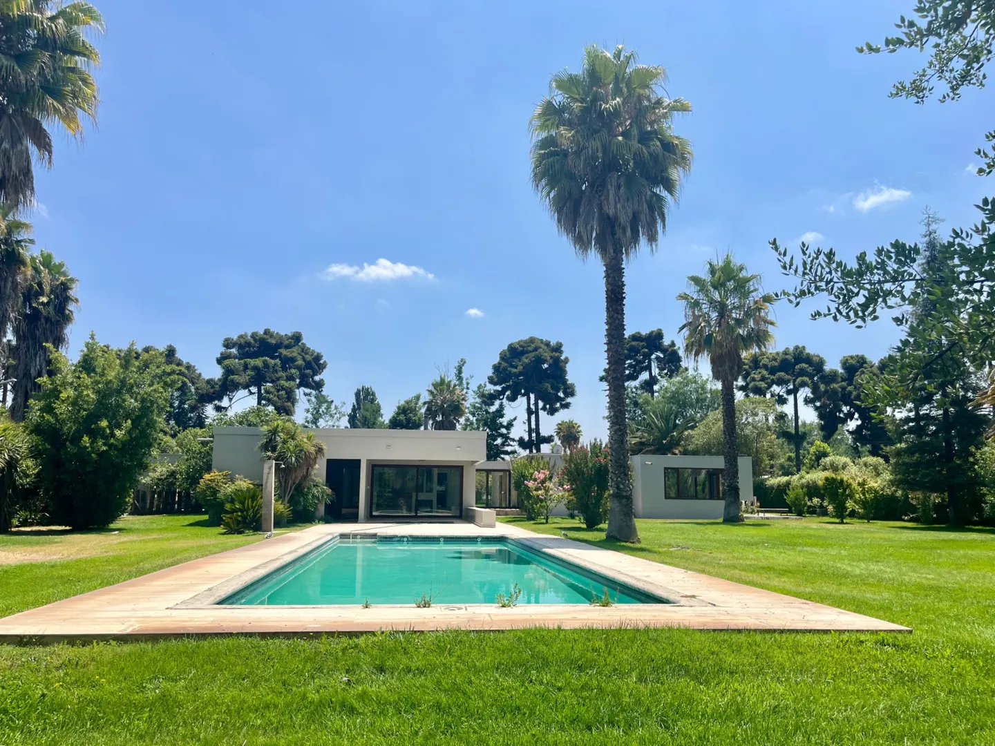 A modern home with a turquoise pool, surrounded by green grass and palm trees under a blue sky.