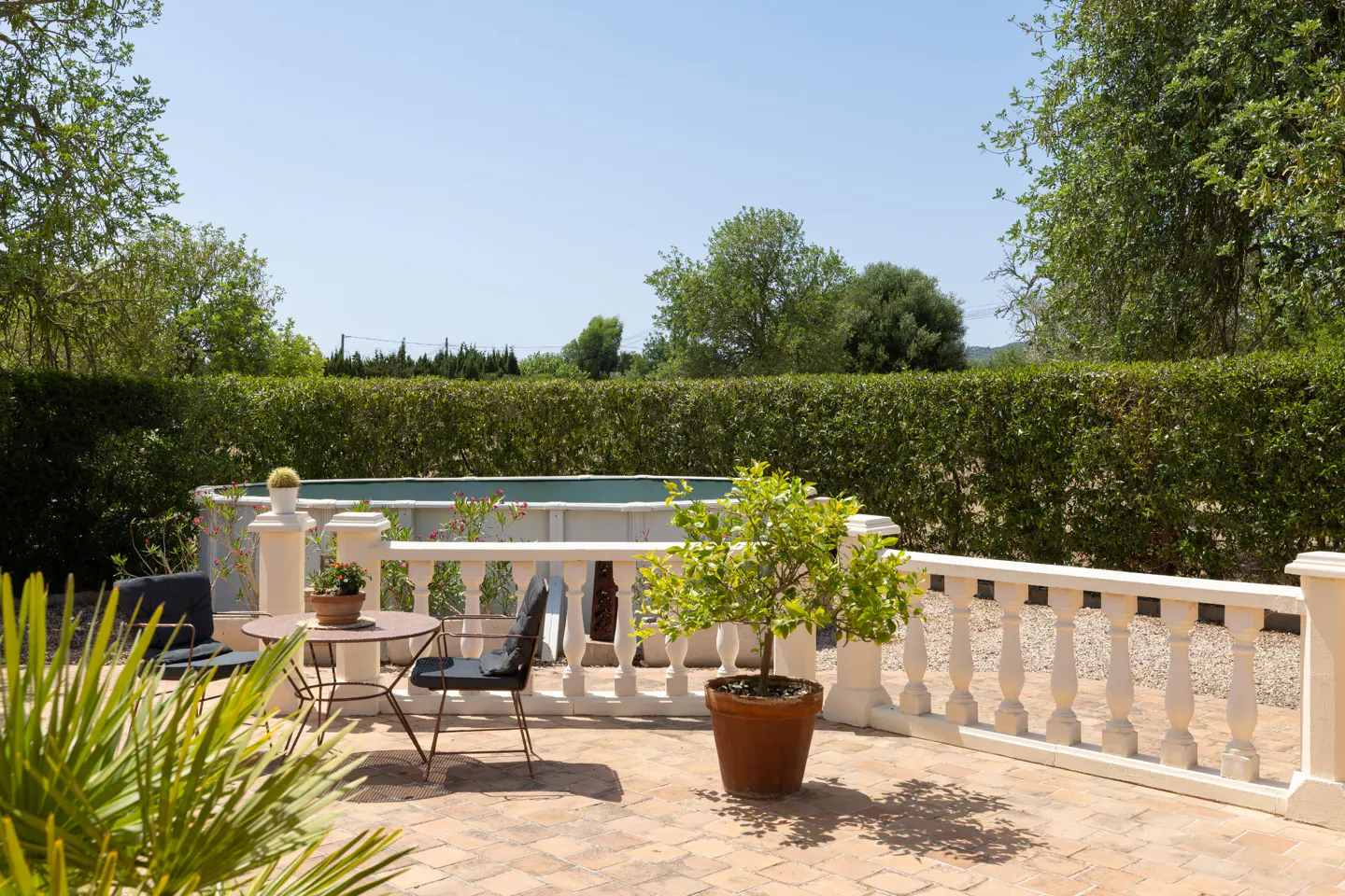 Outdoor patio with brick flooring, white balustrade, table and chairs, potted tree, and pool surrounded by green hedges.