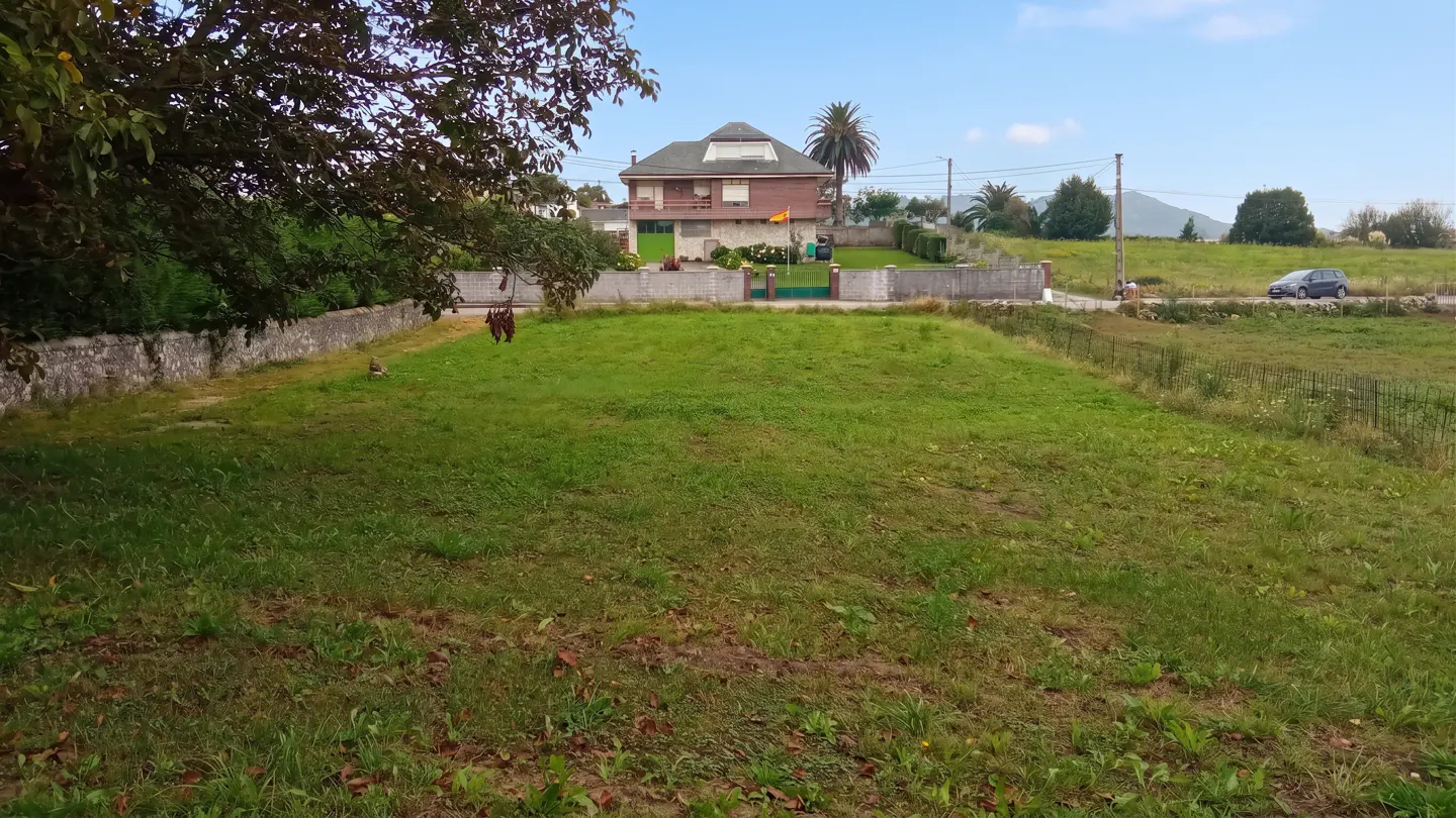 [AI-generated photo]