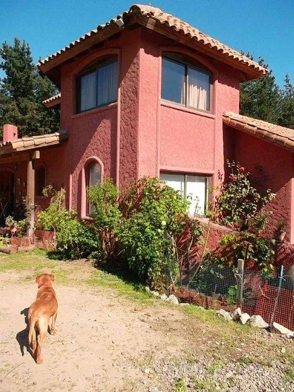 Two-story red house with a brown tile roof, green bushes, and a dog walking away from the camera.