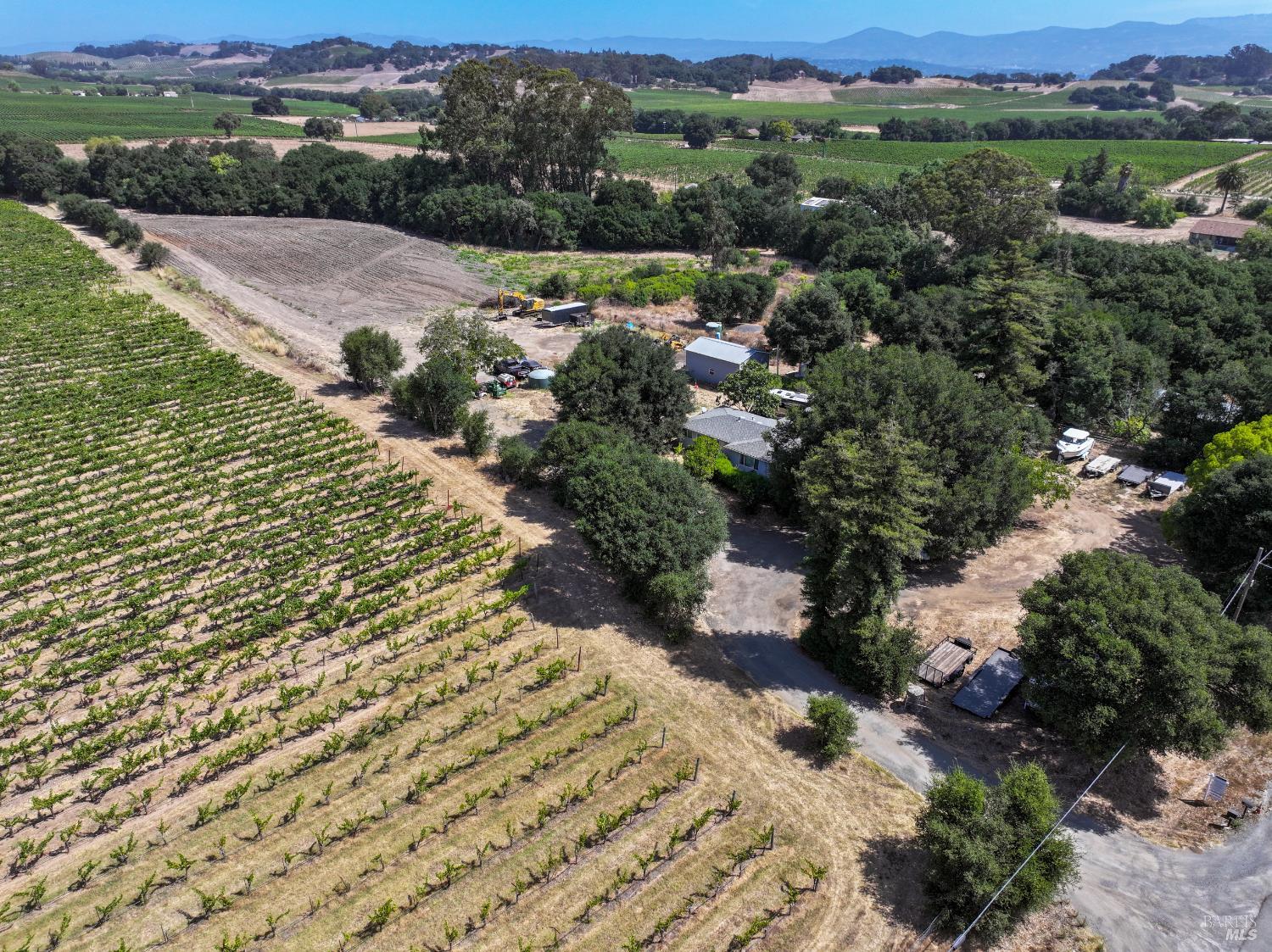 Nestled in Vineyards