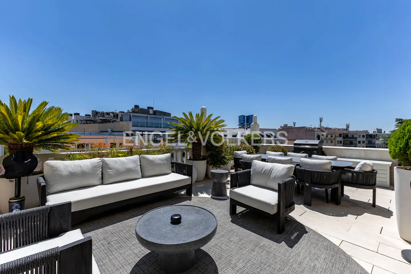 Outdoor rooftop patio with gray sofa, chairs, and table on a gray rug. Palm trees in pots and city buildings in the background.