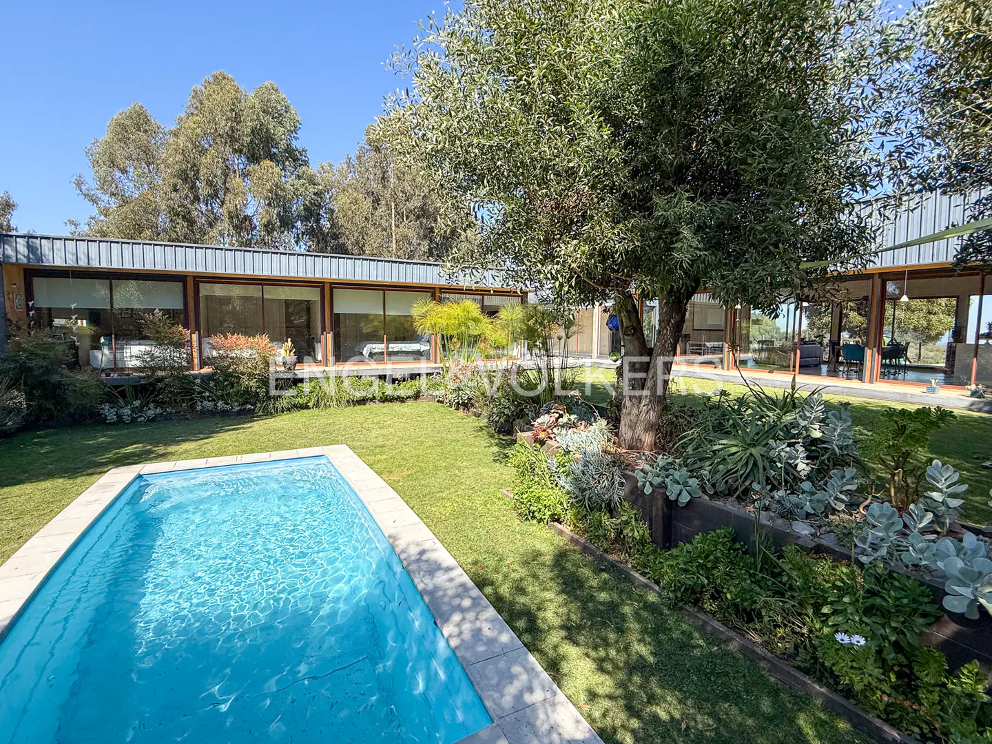 A backyard with a blue pool, green grass, trees, and a modern house with large windows.
