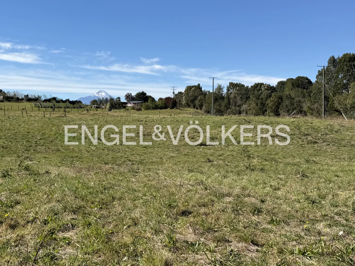 A grassy field with trees and a mountain in the background under a blue sky. Engel & Völkers logo is superimposed on the field.