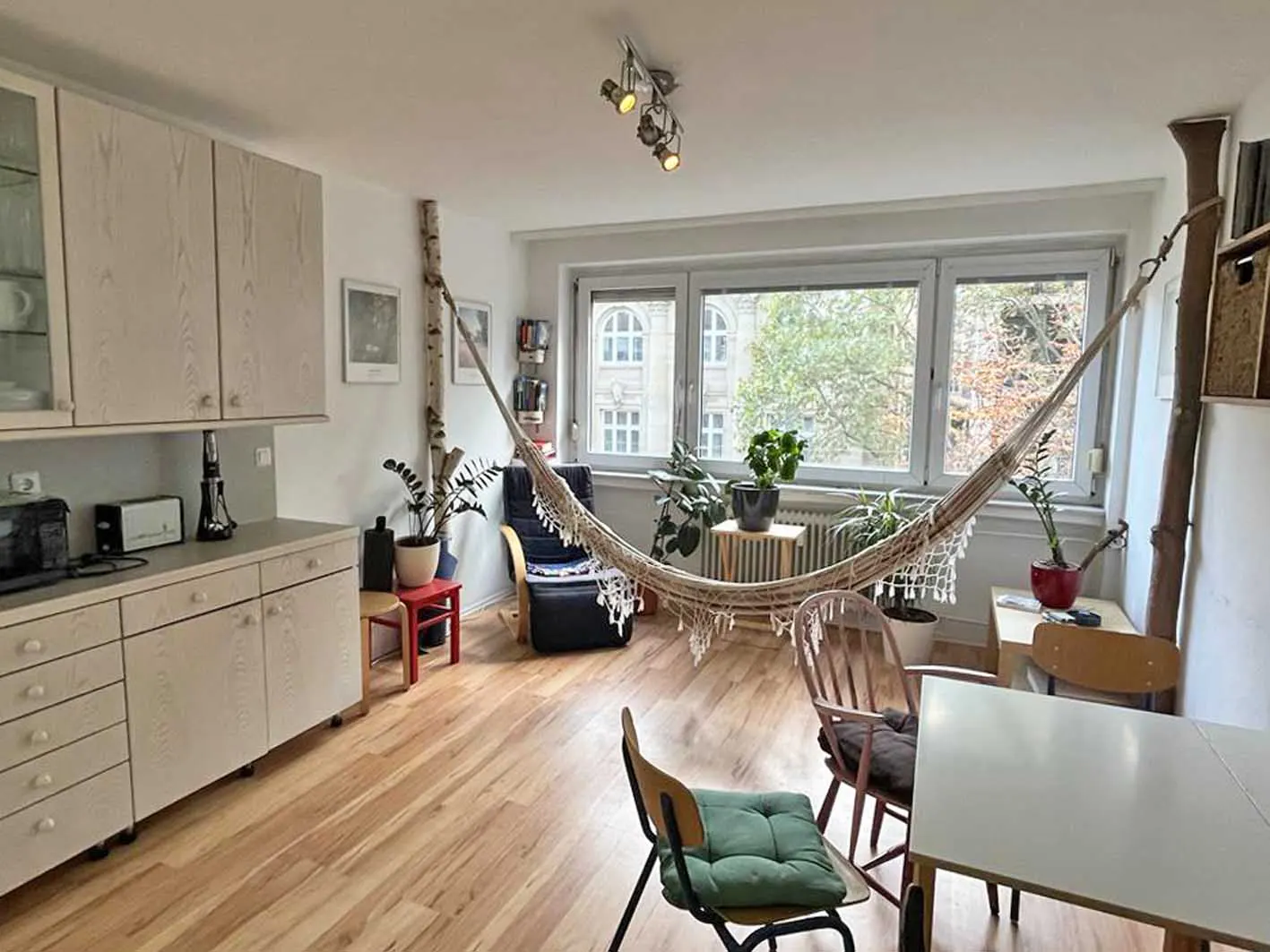 Bright apartment interior with wood floors, a hammock strung between birch logs, and a dining table with chairs. Kitchen cabinets are on the left.