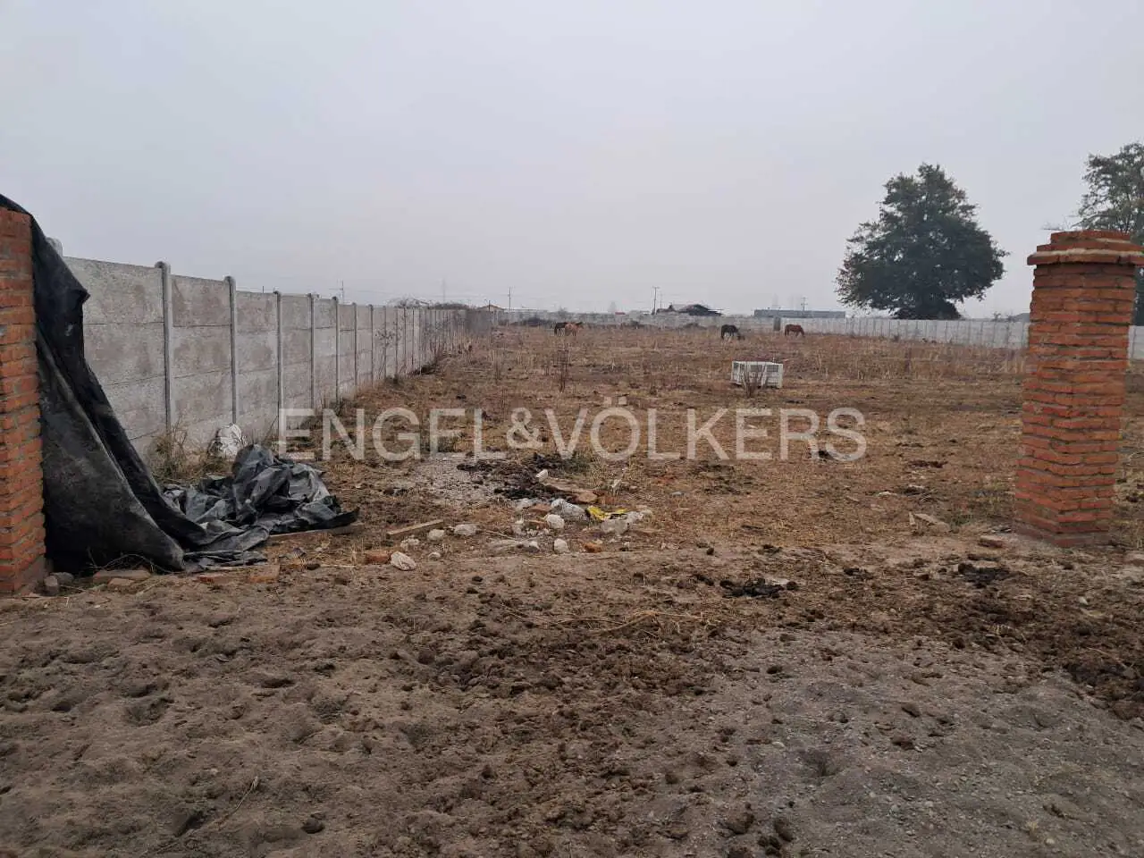 Vacant lot with gray concrete fence, brick pillars, and horses grazing in the background. Engel & Völkers logo visible.