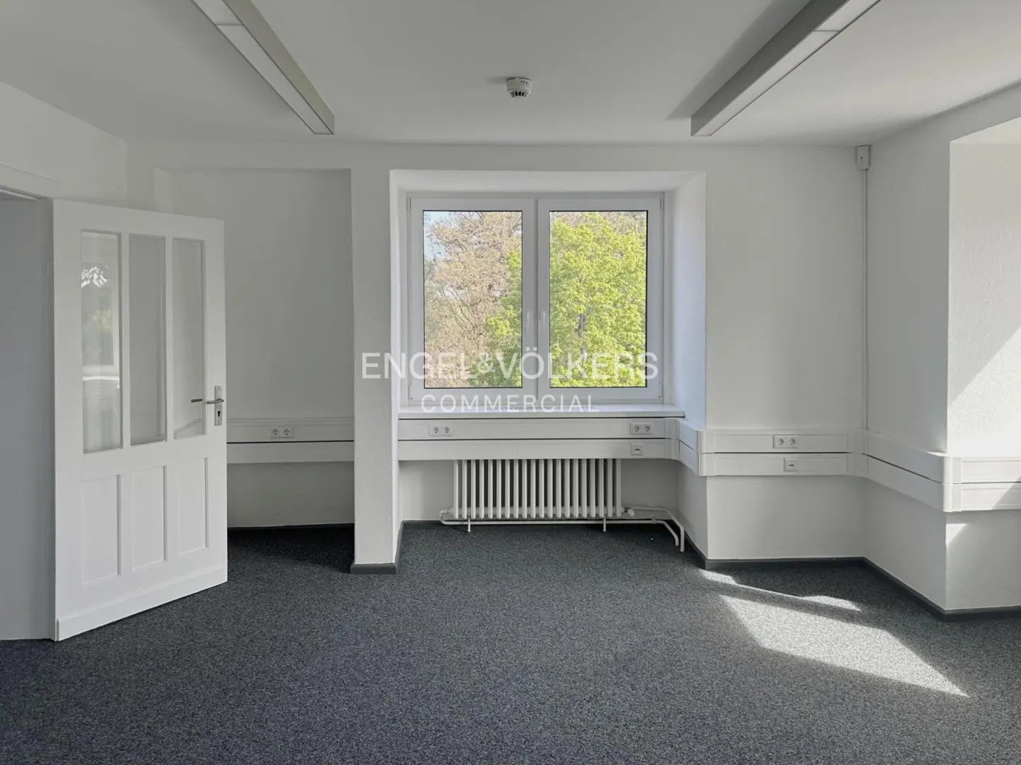 Bright, empty office space with gray carpet, white walls, and a window view of green trees. A white door is ajar on the left.
