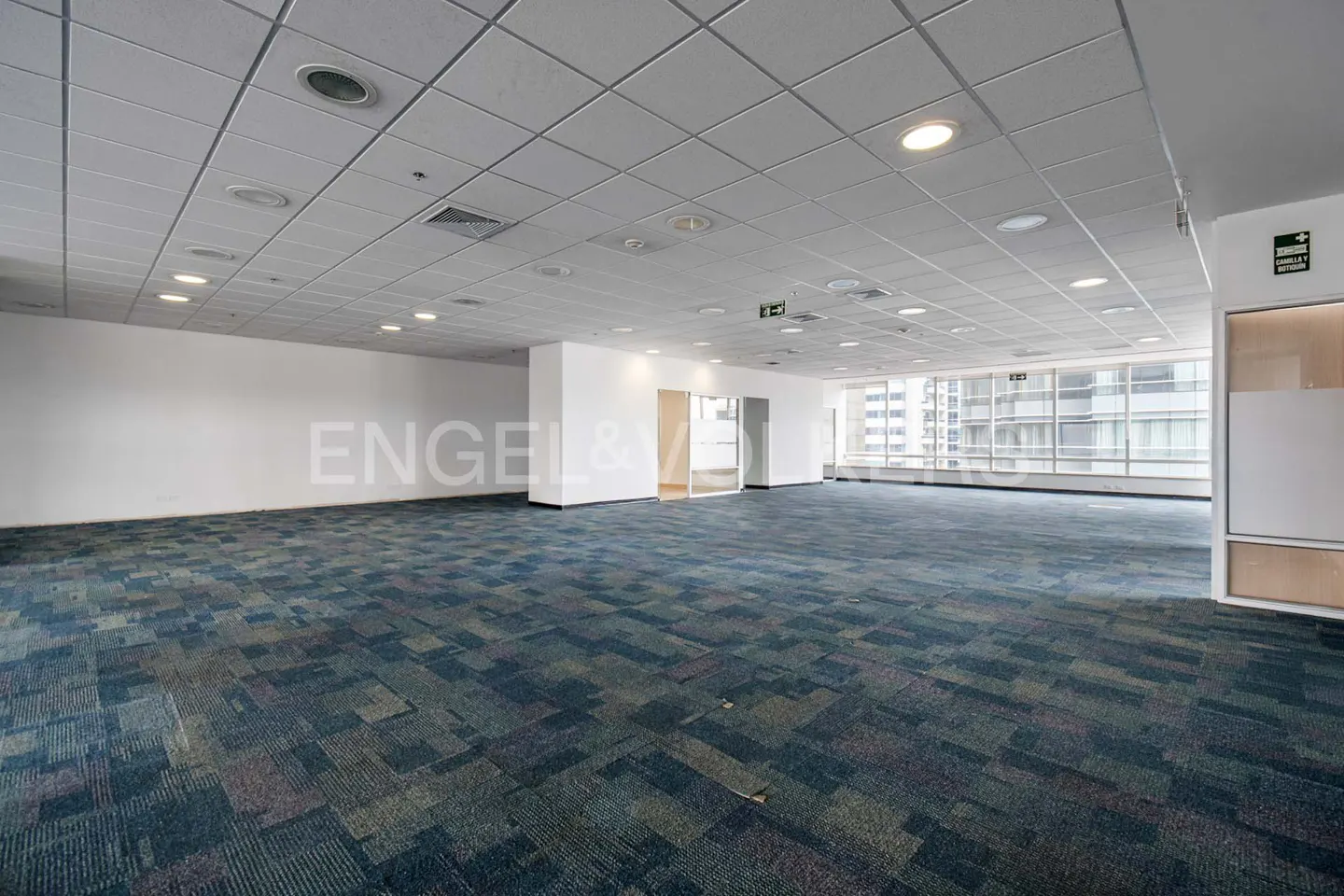 Large, empty office space with blue patterned carpet, white walls, and a suspended ceiling with recessed lighting. Windows overlook city buildings.