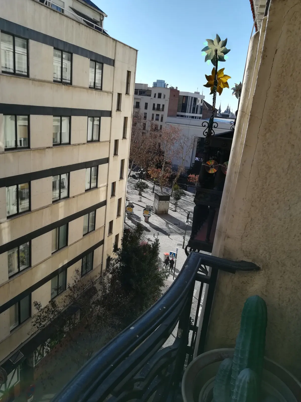View from a balcony with a cactus, overlooking a city square with benches and trees on a sunny day.