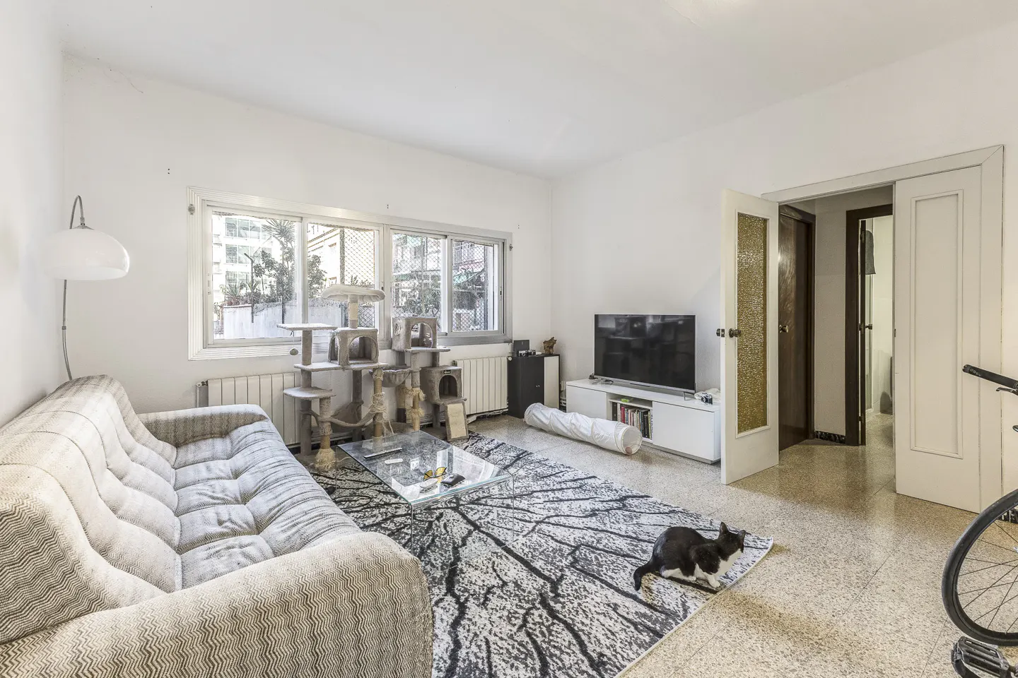Bright living room with a patterned sofa, cat tree by the window, and a black and white cat on a tree-patterned rug.