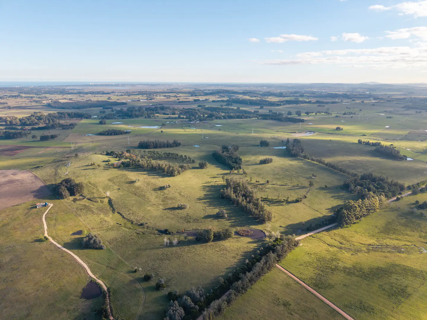 Aerial view of green rolling hills with scattered trees and dirt roads under a blue sky.