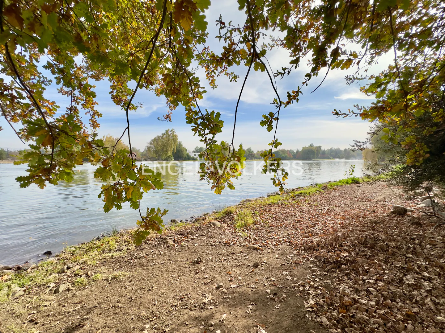 View of a calm river from a dirt bank covered in fallen autumn leaves, framed by overhanging oak branches.