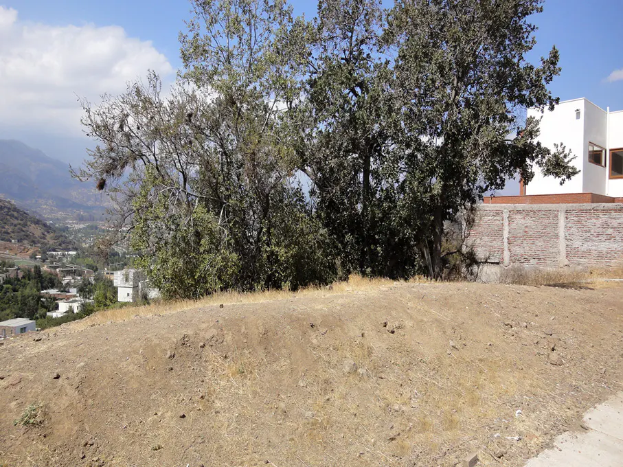 Vacant lot with trees and a brick wall. A white house is visible behind the wall. Mountains and a blue sky are in the background.