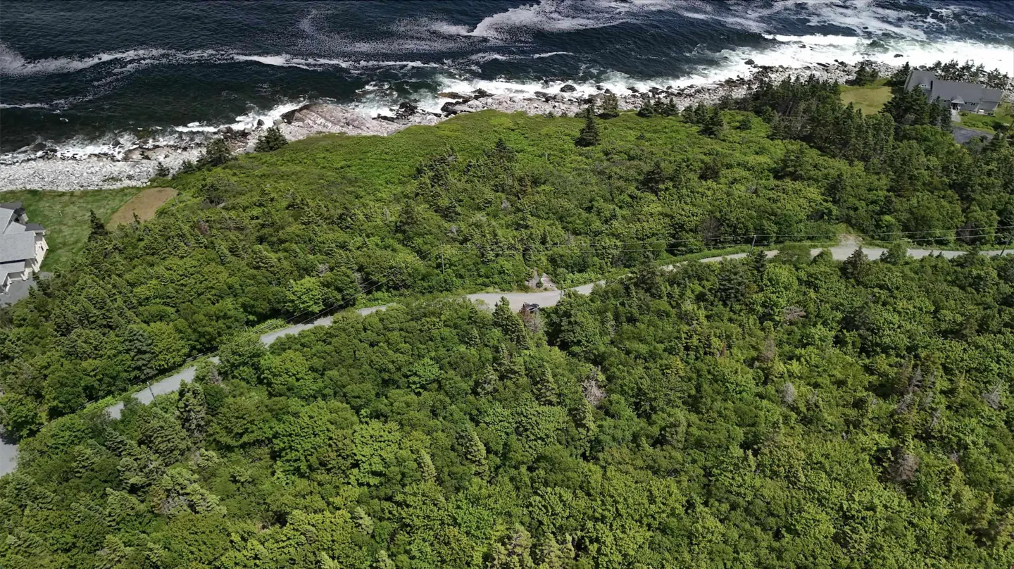 Aerial view of a wooded lot near the ocean. Waves crash on the rocky shore. A road winds through the trees.