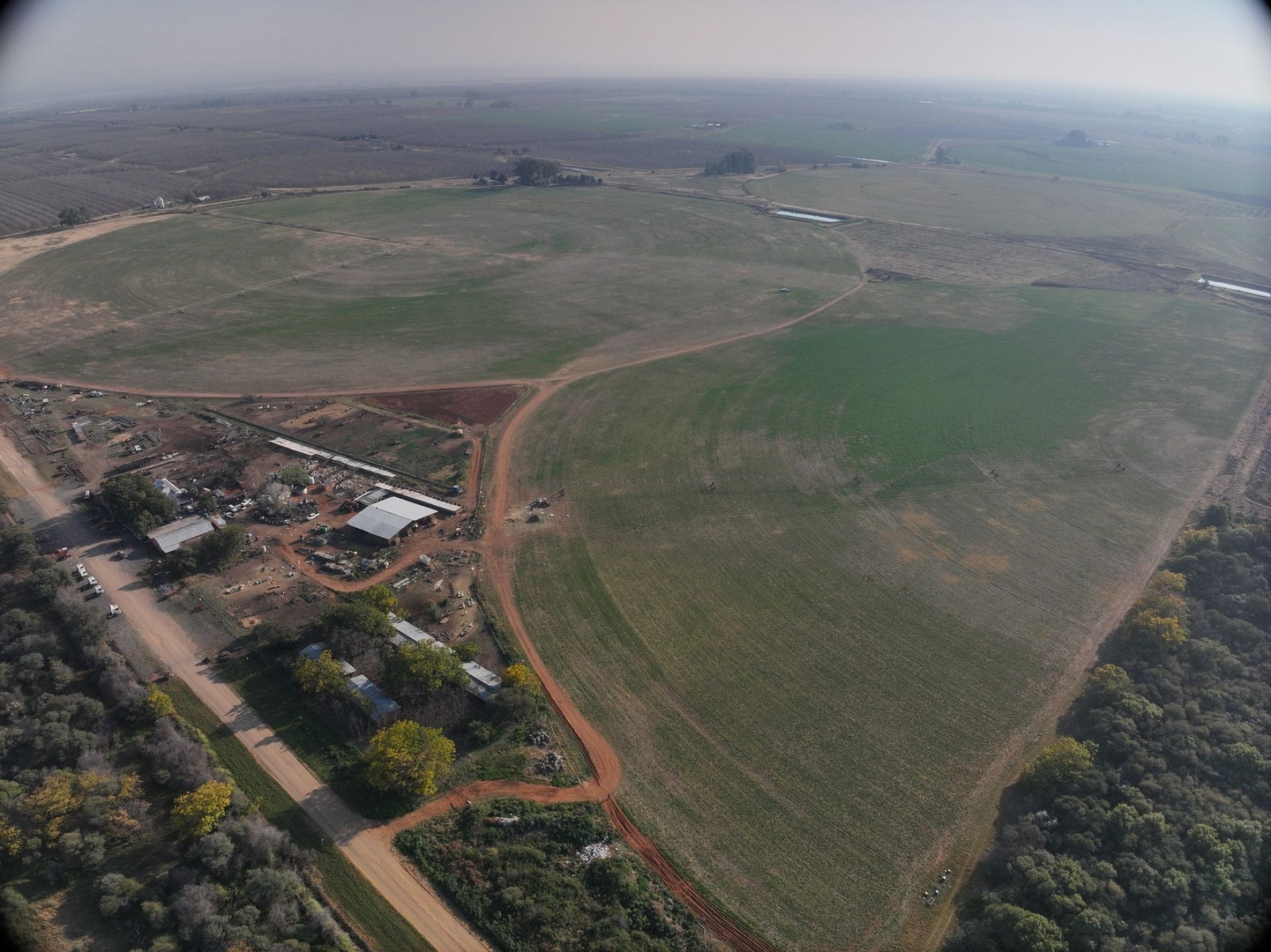 Exceptional 172-Hectare Irrigation Farm for Sale – Prime Vaalharts Opportunity