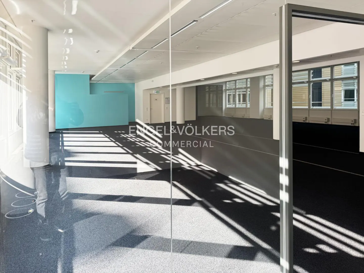 Bright, empty commercial space with white walls, gray floors, and a blue accent wall. Sunlight streams through windows, casting shadows.