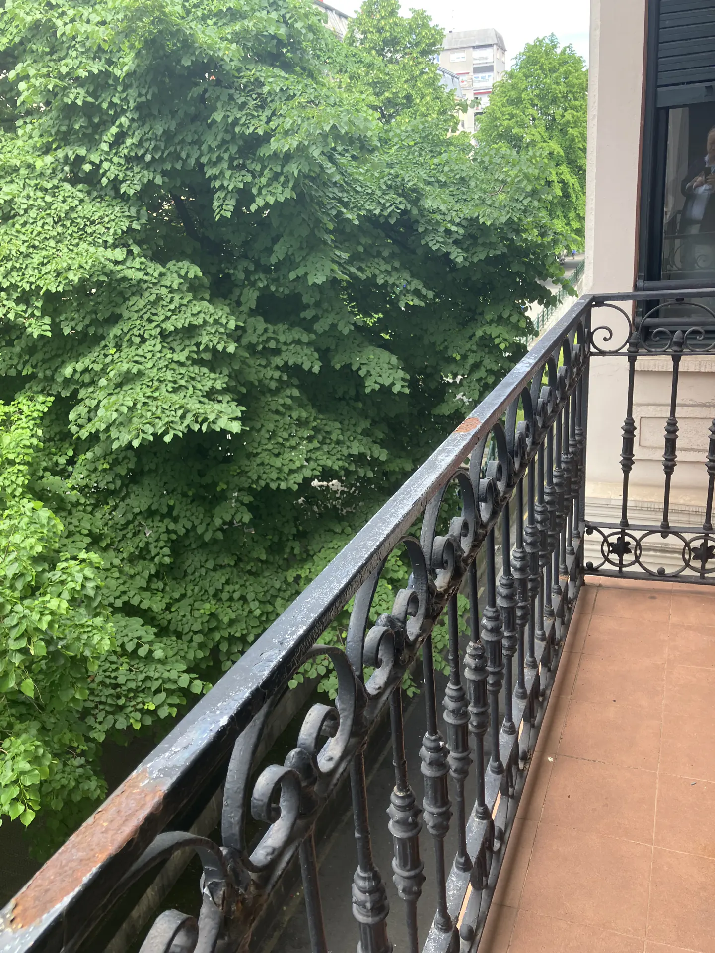 Balcony view with black wrought iron railing, terracotta tile floor, and lush green trees in the background.