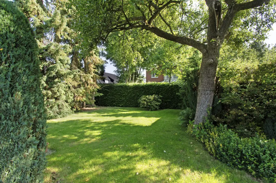 Lush green backyard with a large tree, trimmed hedges, and a glimpse of a brick house in the background.