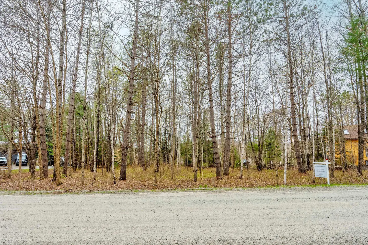 View of a wooded lot for sale, with a sign posted on the right side of the property.