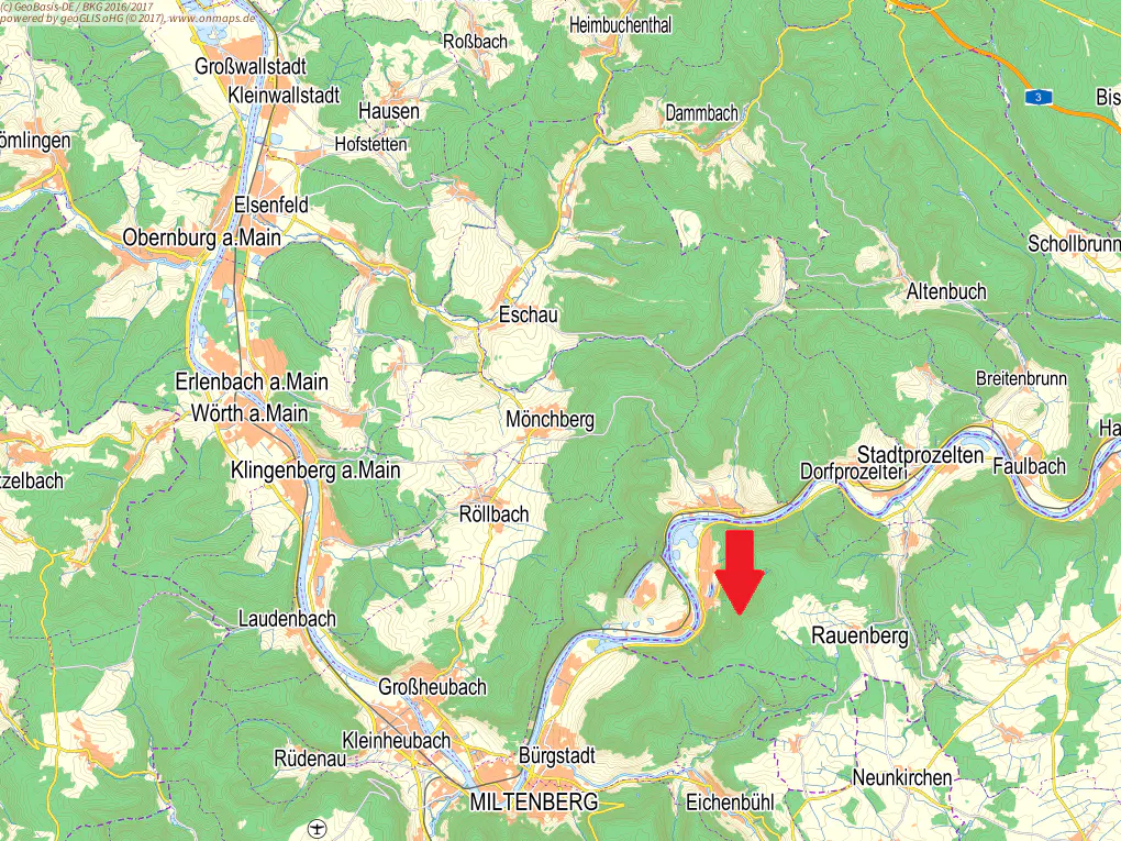 Map view of Rauenberg, Germany, with a red arrow pointing to the town. The area is surrounded by green forests and a winding river.