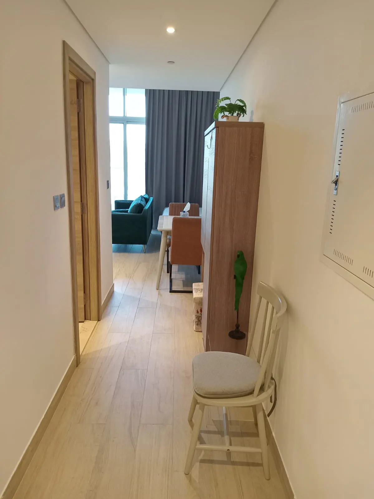 Apartment hallway with a white chair, wooden cabinet, and view into the living room with a green sofa and dining table.