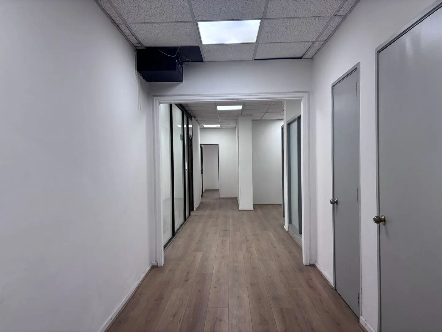 Empty office hallway with wood floors, white walls, and gray doors. Glass-walled offices are visible down the hall.