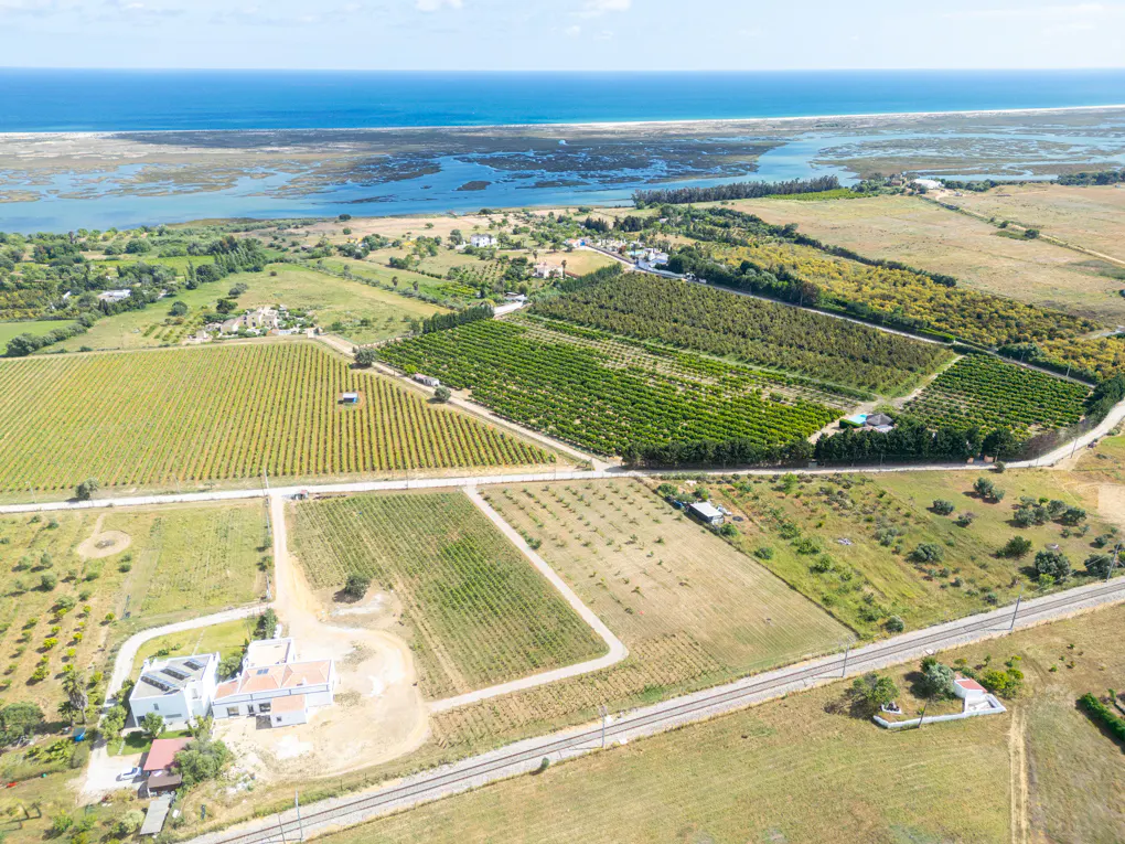 Aerial view of a farm with rows of crops, a white house with solar panels, and the ocean in the background.