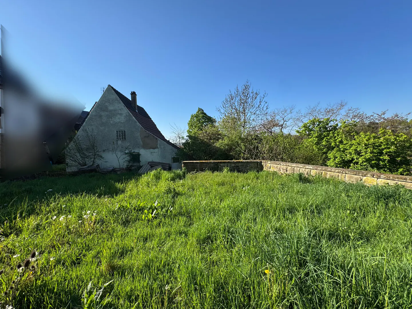 Overgrown yard with tall green grass, a stone wall, and a pale green house with a red roof under a clear blue sky.