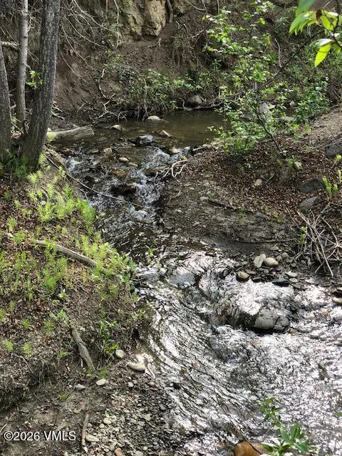 A shallow, rocky stream flows through a wooded area with green foliage and trees on either side.