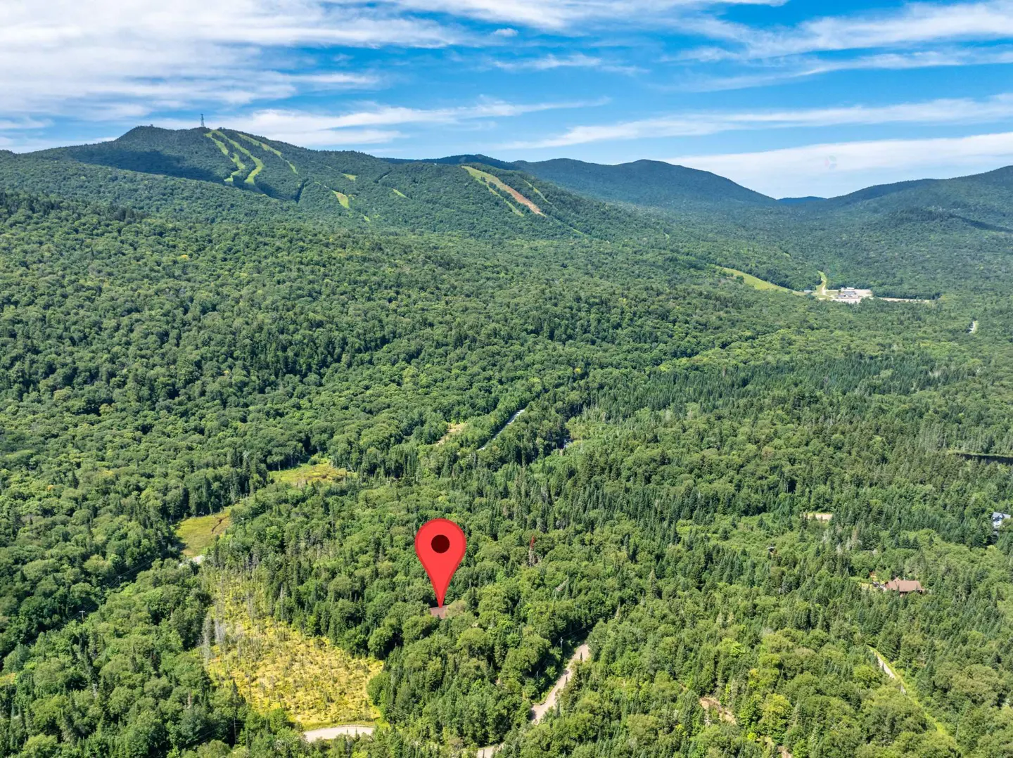 Aerial view of a wooded lot with a red map marker, mountains with ski trails in the background.