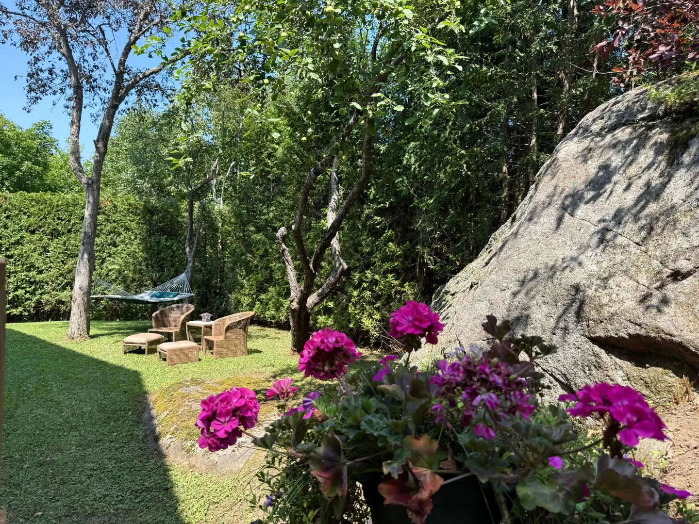 Lush green backyard with a hammock, wicker furniture, and vibrant pink flowers. A large rock formation adds a natural element.
