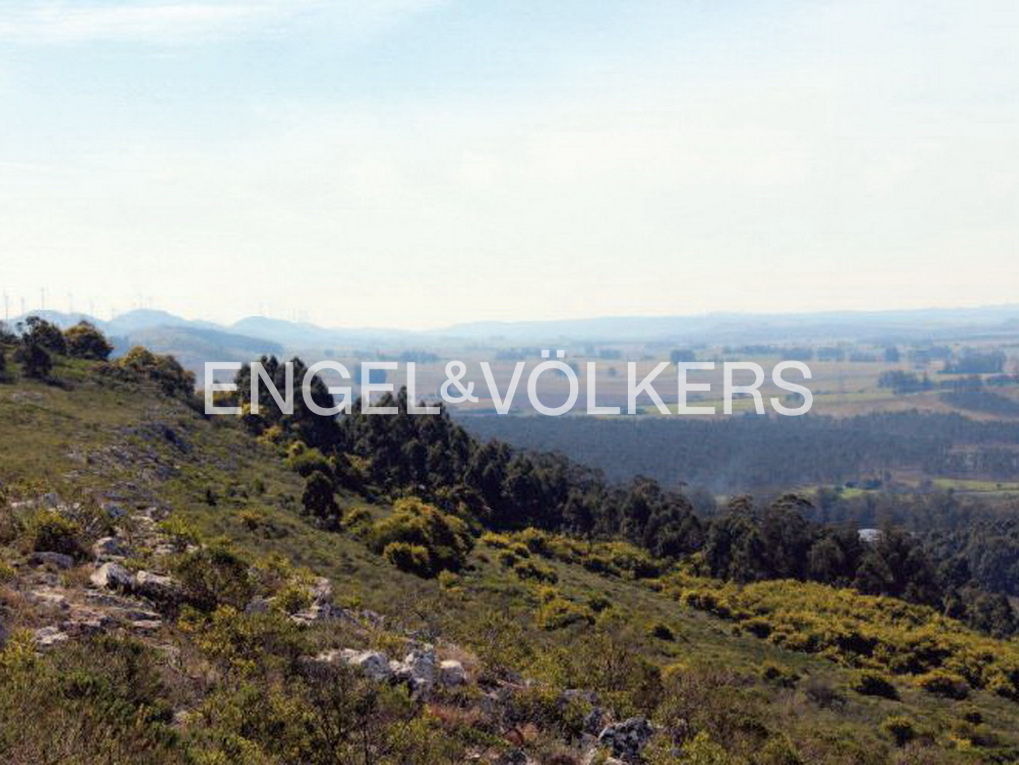 Chacra de 9 has sobre Sierra de la ballena