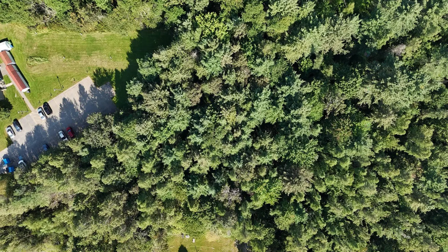 Aerial view of a property with a parking lot, building, and dense green trees. Cars are parked in the lot.