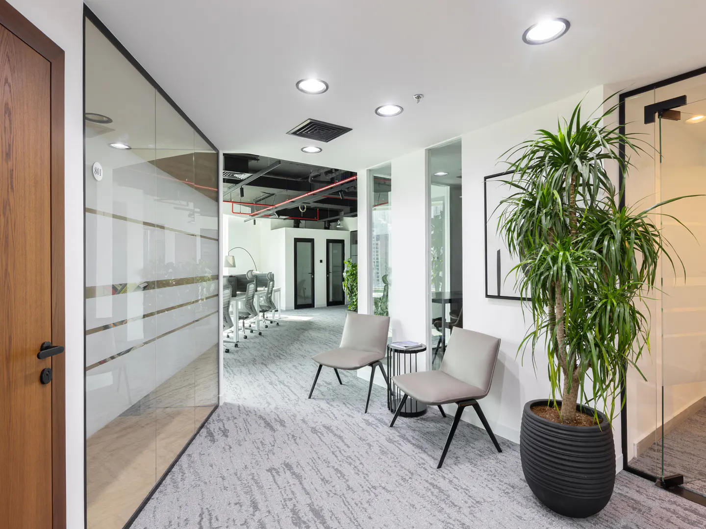 Modern office waiting area with two gray chairs, a potted plant, and glass-walled offices. The floor is gray and white patterned carpet.