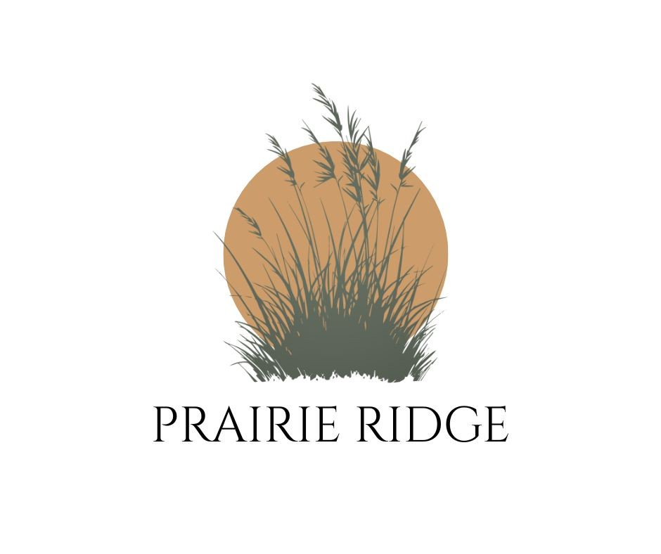 Prairie Ridge: A New Chapter in Northwest Rochester Living