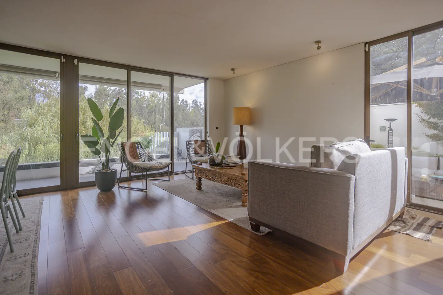 Bright living room with hardwood floors, large windows, and a gray sofa. A patterned rug sits under a carved wood coffee table. Outdoor greenery is visible.