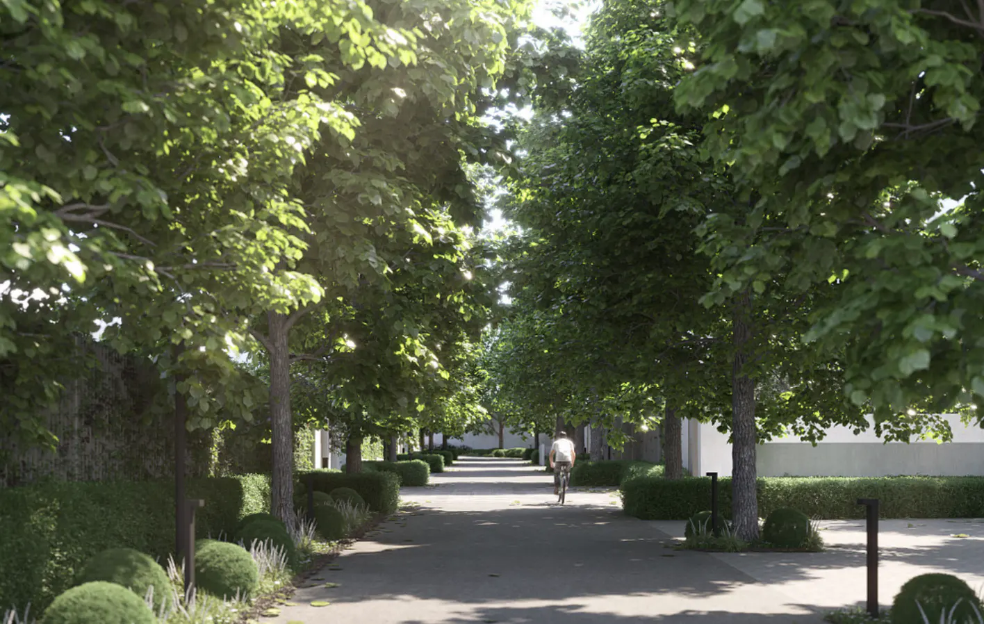 Tree-lined street with a cyclist in the distance. Green trees arch over a gray path, with manicured bushes and green lawns on either side.