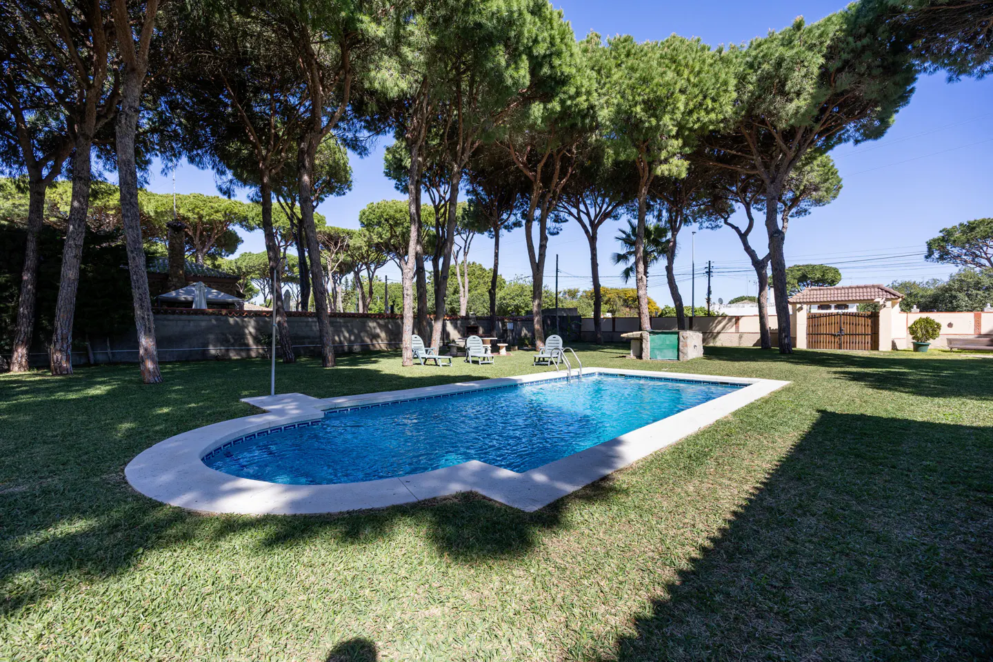 A backyard with a blue pool, green grass, and tall trees under a clear blue sky. Chairs are placed near the pool.